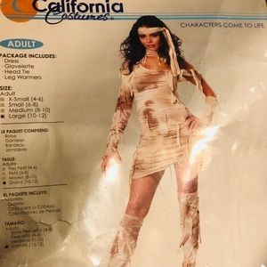 Mystical Mummy Costume